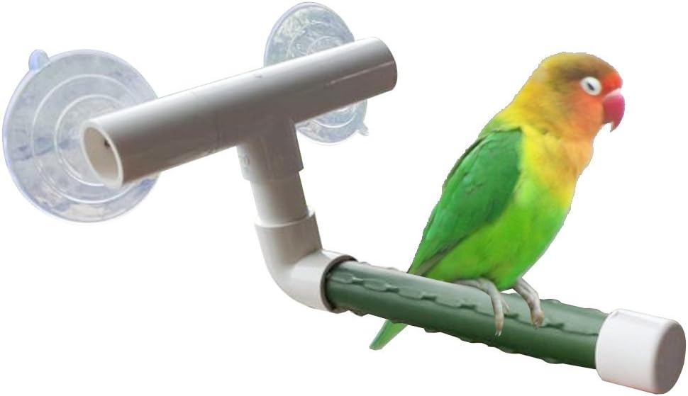 Bird Parrot Stand Perch Shower Perch Standing Toy Portable Suction Cup