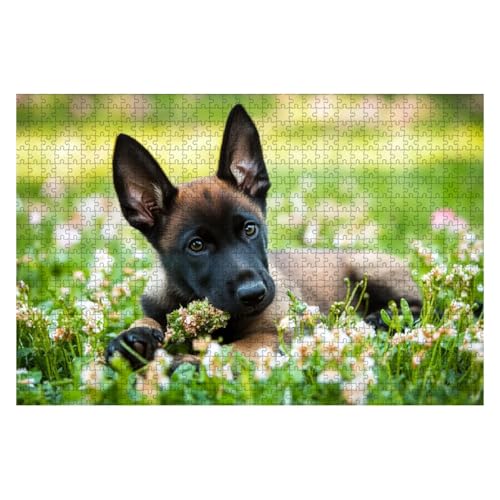 Jigsaw Puzzles 1000 Pieces for Adult Portrait Young Happy Belgian