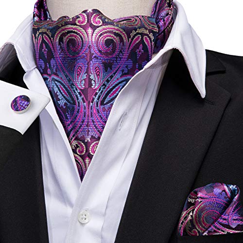 Image of MIPPO Men's Ascot Paisley Floral Jacquard Woven Gift Cravat Tie