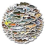 55 Pcs Deep Sea Fish Sticker Pack for Kids Teens, Funny Fish Vinyl Waterproof Stickers and Decals for Water Bottles Laptop Phone Motorcycle Computer Guitar Skateboard