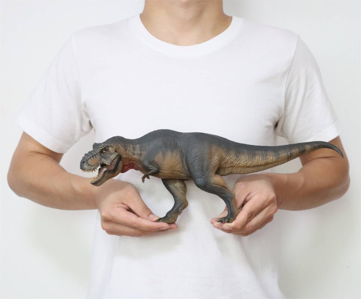 Amazon | Nanmu 本心楠改 1/35 ティラノサウルス レックス King 肉食