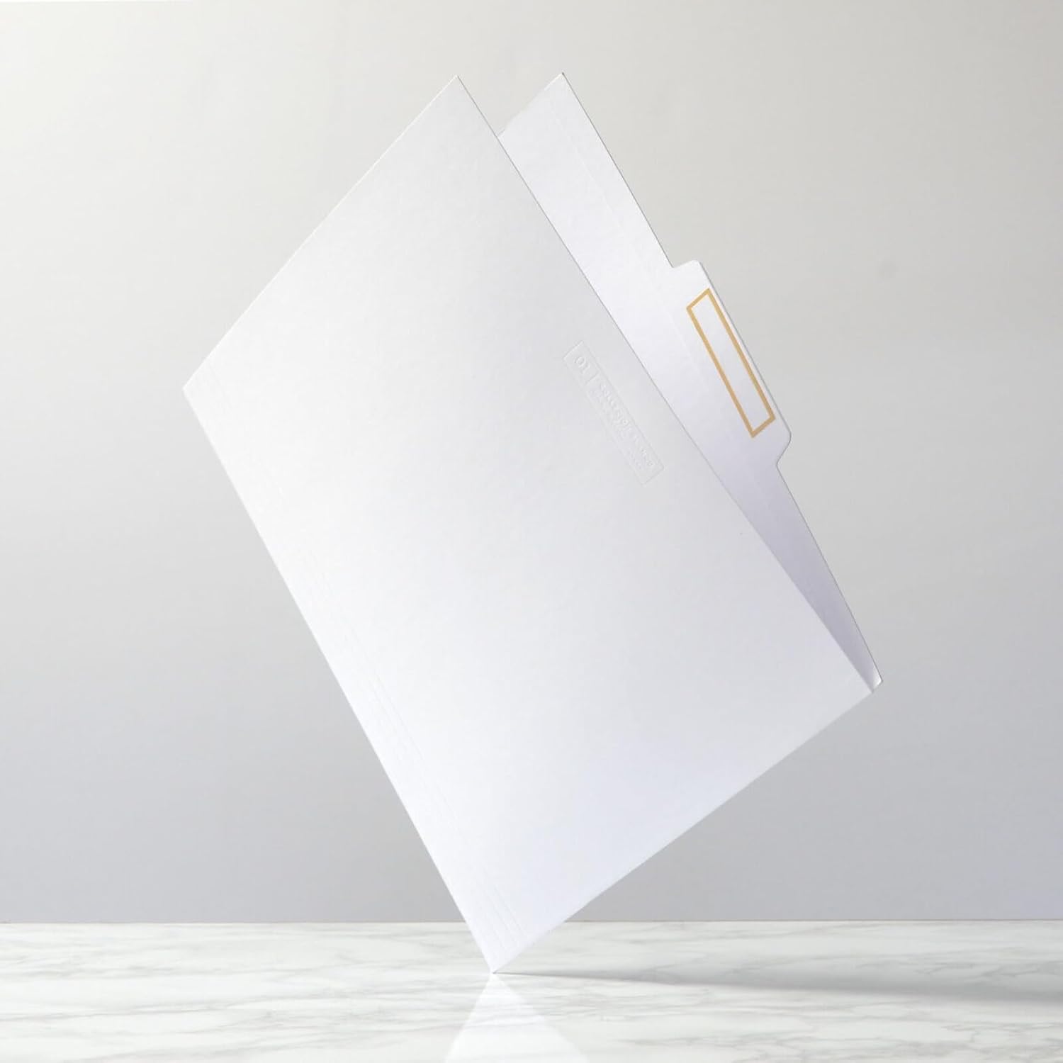 russell+hazel White File Folders, Includes Gold Foil Border Labels, Center Position Tabbed File Folders, 11.75” x 9.75”, Letter Size, 12-Count (18911)