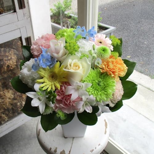 su`sIo y { t[AWg 5,000~ WFlhwz  ybg݉ ybg       ybg    Mtg   l\  ފ V~ ~ 