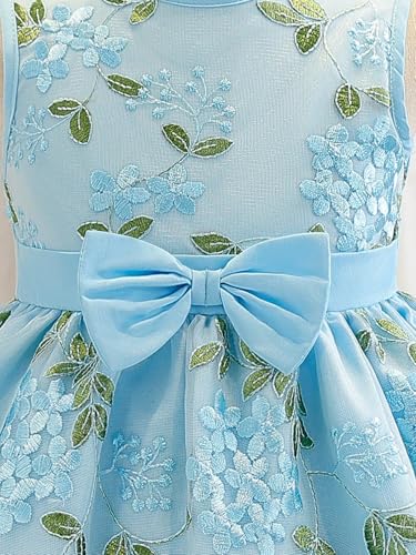 Image of Tagas Girls' Princess Dress | Girl Dress |Dresses birthdaydress for Babygirls | A-Line Knee-Length Dress