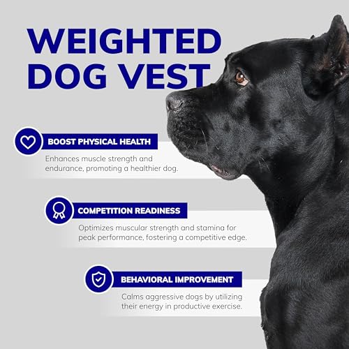 Activedogs Activedogs Weighted Dog Vest With Weights thumb #2