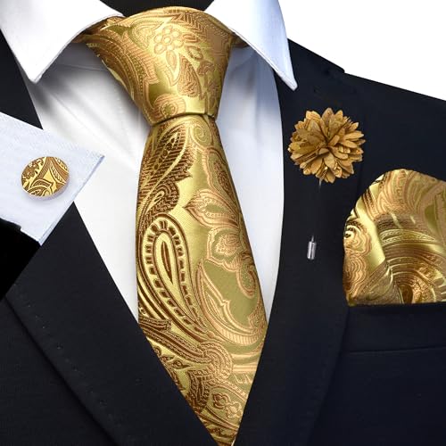 Image of GUSLESON Paisley Tie Set for Men 3.15 inch Necktie Lapel Pin Hankerchief Cufflinks Set for Men