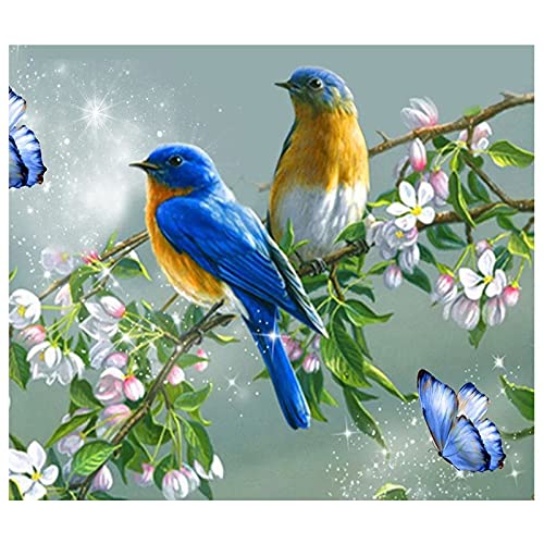 Image strass oiseau bleu diamond painting kit grand format cadeau