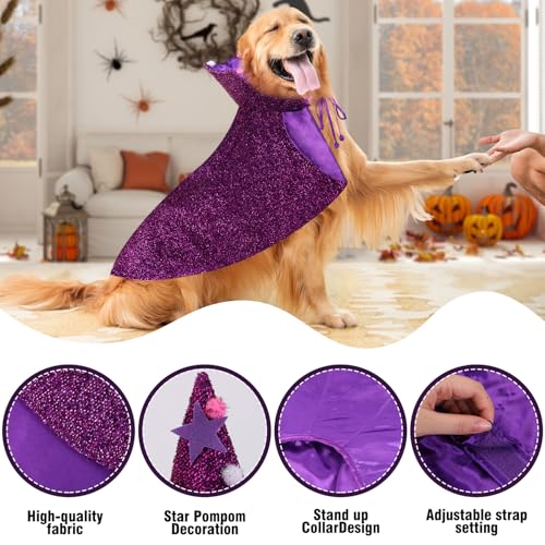 Disfraz de Bruja para perros mediano y pequeño miniatura 3