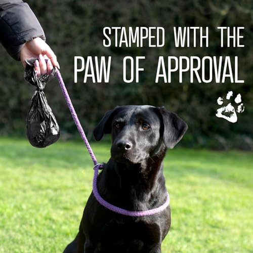 Image of Dog Poo Bags | Eco Biodegradable Poop Bags | Thick Dispenser Refill Rolls with Tie Handles | Strong Bags | 100% Leak-Proof Unscented Sacks (Black, 1 Box - 270)