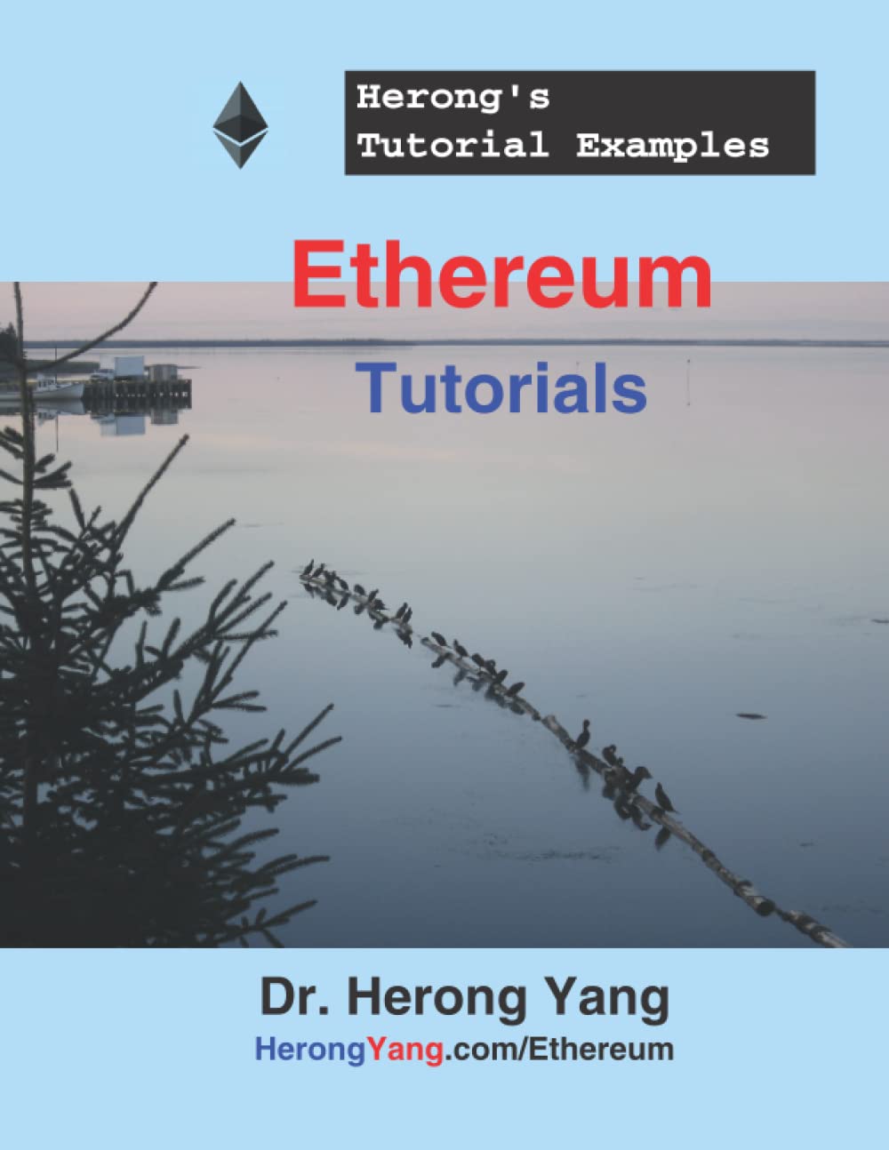 Ethereum Tutorials Herongs Tutorial Examples | Desertcart Cyprus