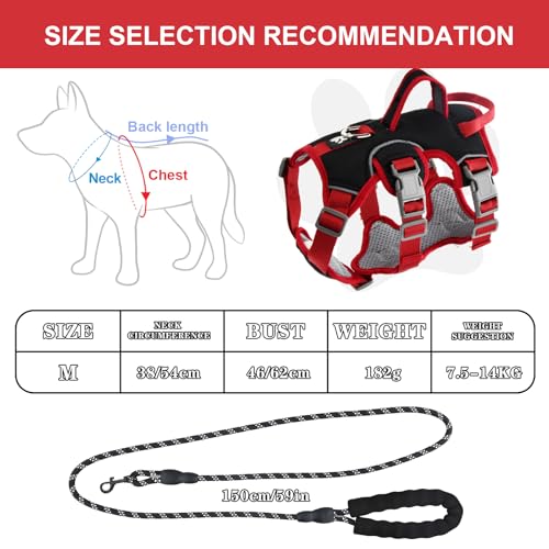 Amexo Mehrzweck-Hundegeschirr mit Leine Set, Reflektierendes Hundegeschirr, Ausbruchsicher Anti Zug Hundegeschirr, Sicherheitsgeschirr Hund, Hundegeschirr Hunde für Kleine Mittelgroße Hunde(Schwarz,M)