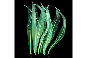Glow in the Dark Aquarium Silicone Artificial Plants, 7 Inches
