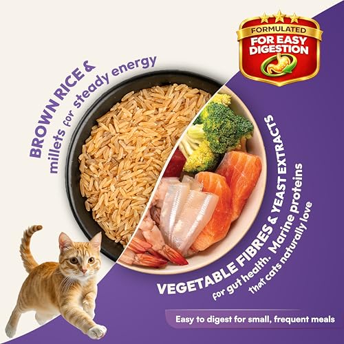 Image of DatGud Adult Dry Cat Food, Chicken & Wild Fish with Antarctic Krill, 2 kg (1 kg + 1 kg Free) | Complete & Balanced Nutrition | Antioxidants for Immunity | Taurine for Heart & Vision | Easy to Digest