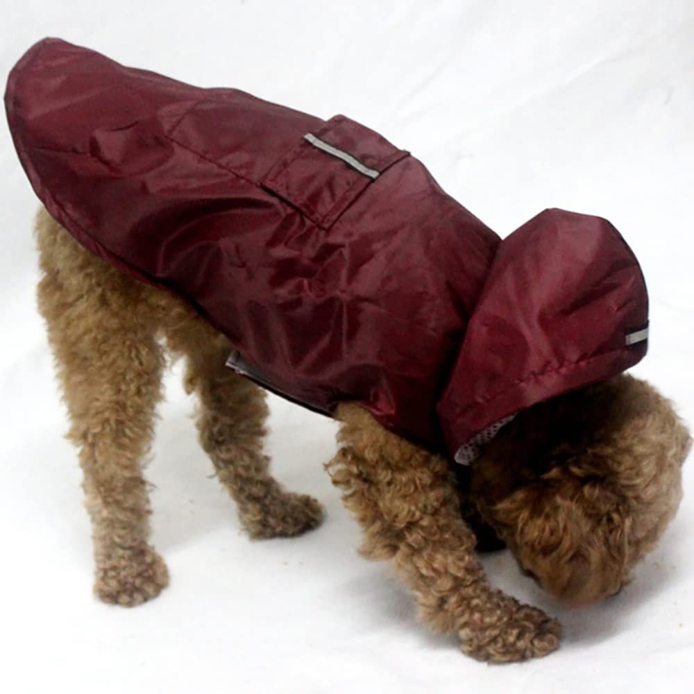 Imperméable pour chien réfléchissant XL balade sous la pluie