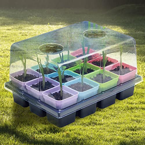 sementes, conjunto propagador jardim, kits sementes - início sementes Kit iniciante plantas e base m