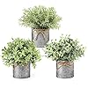 Mkono small fake plants in farmhouse galvanized metal pots 3 pack potted artificial plant eucalyptus for laundry room bathroom shelf table decor  urban country home decor
