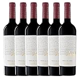 Condado de Oriza 409 D.O. Ribera del Duero 750 ml