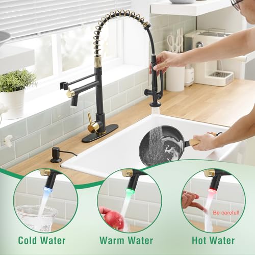 Image of Fapully Commercial Kitchen Faucets with Pull Down Sprayer Matte Black&Gold
