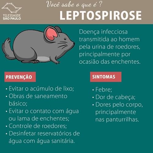 10 Placas Adesivas Para Capturar Ratos Roedores C/Nf