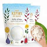 LES KÉFIRS DE GAÏA® - Kéfir d’eau - Grains de Kéfir de Fruit Frais Activés - 30g/60g - Fait en France - Kéfir non congelé - Guide d’utilisation et Recettes - Démarrez votre culture maintenant ! (60g)