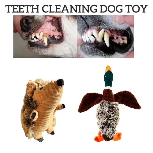 Juguete Mordible Squeaky para Perros - Pato y Erizo miniatura 5