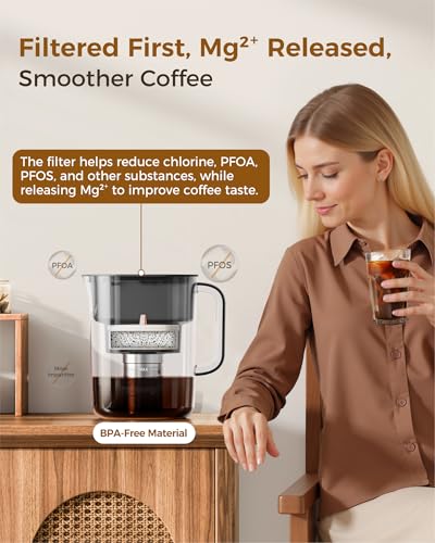 Image of Waterdrop PT-10 Cold Brew Coffee Maker with 1 Magnesium Water Filter for Well-Balanced Acidity, Unlocks Aroma, BPA-Free Cold Brew Pitcher, Stainless Steel Filter for Iced Coffee, Tea, Lemonade, Black