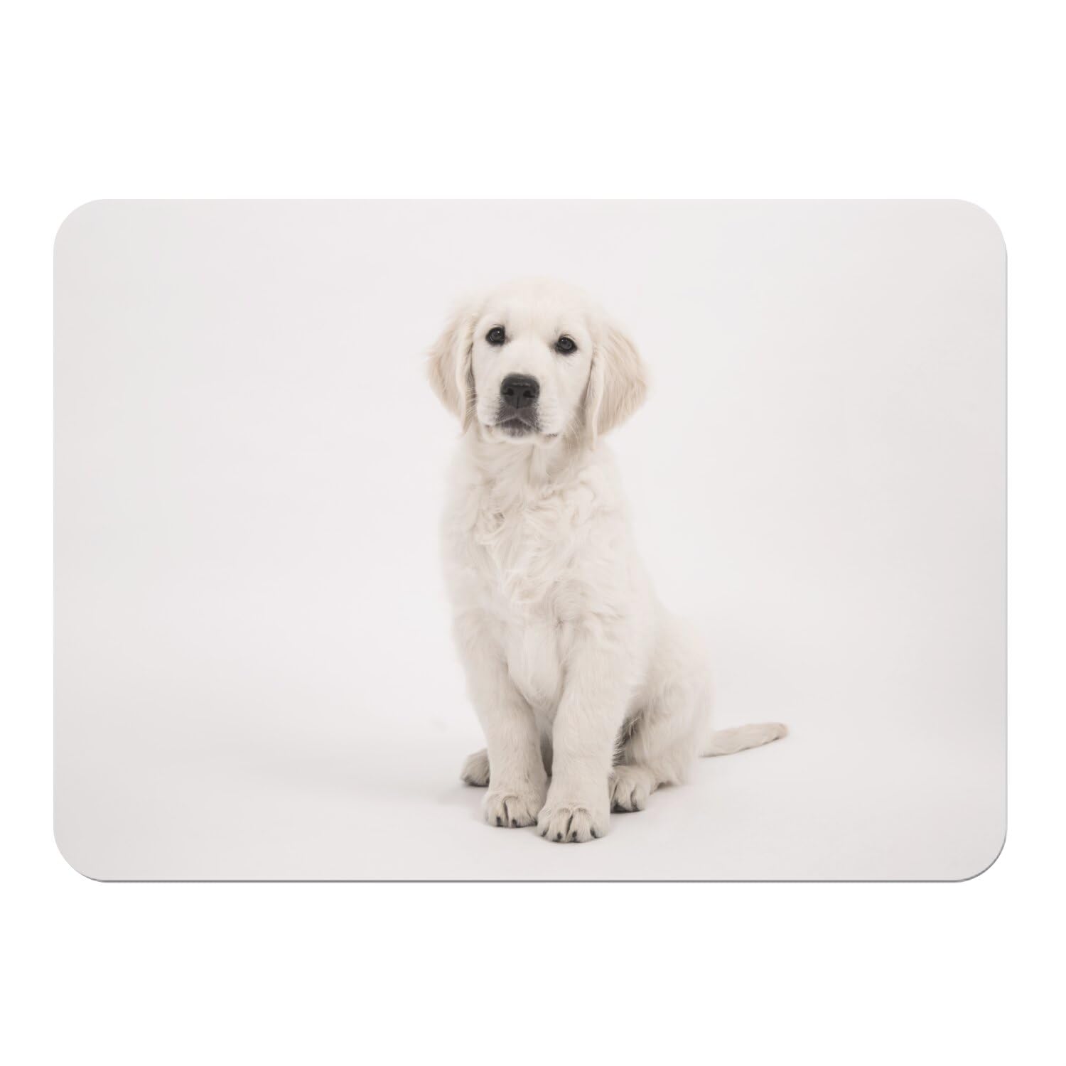 Sets de table en liège chiot labrador blanc lot de 4 grands napperons souples de 39,5x28,5 cm