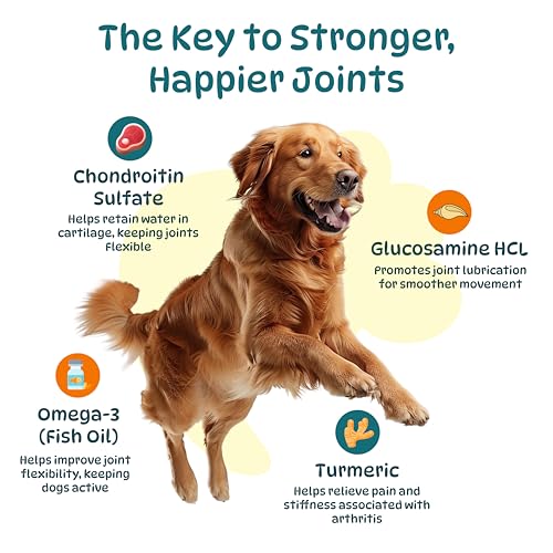 Joint Supplements for Dogs - Dog Hip and Joint Care Chews with Glucosamine, Chondroitin, Green Lipped, Omega-3, Turmeric and MSM for Arthritis, Chicken Flavor (100 Count) - Image 5