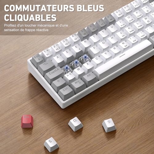 Clavier Mecanique - Clavier Gamer de Jeu Filaire Switchs Bleu, AZERTY Français, LED Rétroéclairé, Clavier Gaming Mini 60% pour PC/Windows/PS5/PS4, Blanc et Gris – Image 3