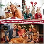 Tough Dog Toys, Toys for Aggressive Chewers Large Breed, Chew Dogs, Bone Toy Nylon Dogs Almost Indestructible - Image 5