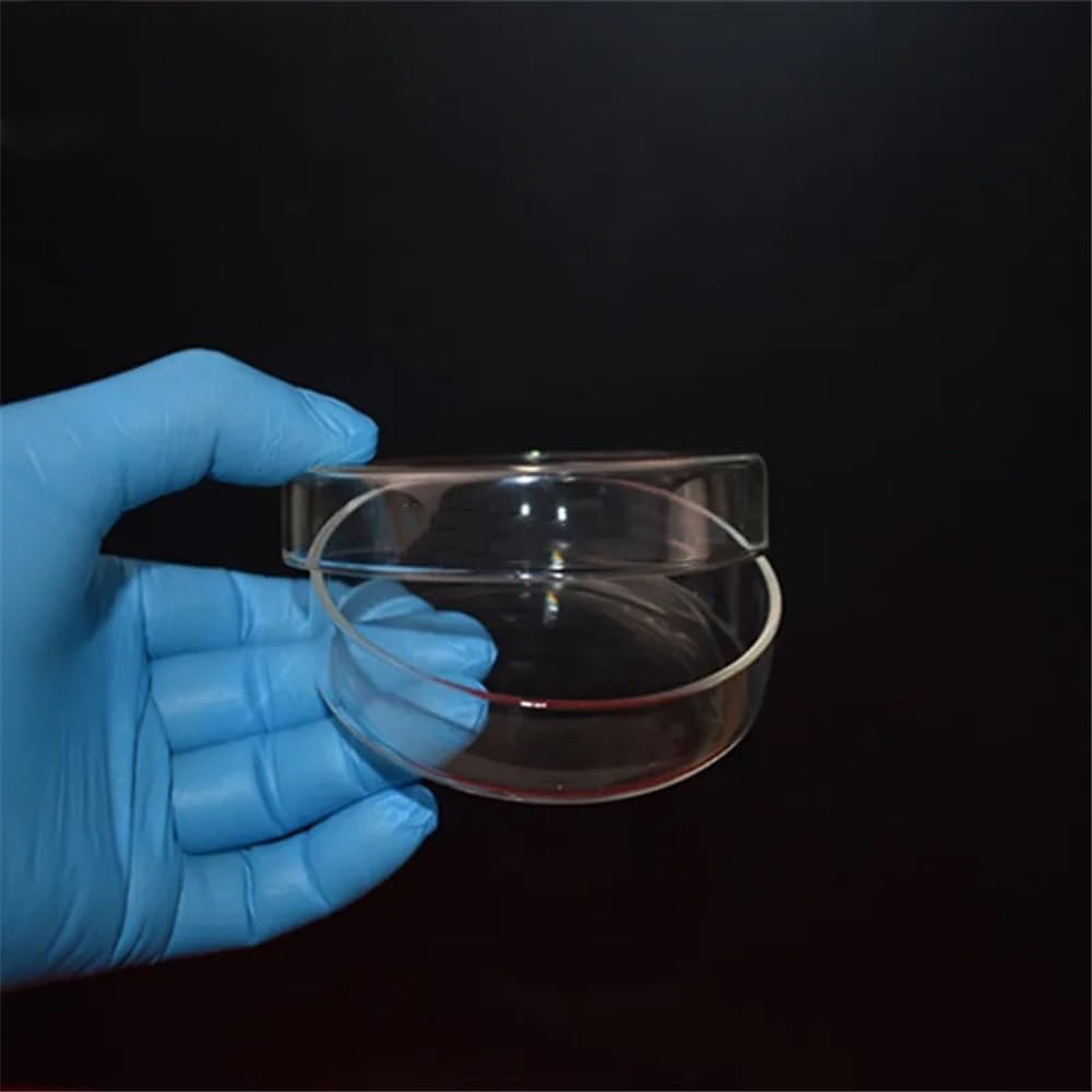 Attrezzature e forniture di laboratorio 60/75/90/100/120 mm con coperchio in vetro borosilicato da laboratorio Petri