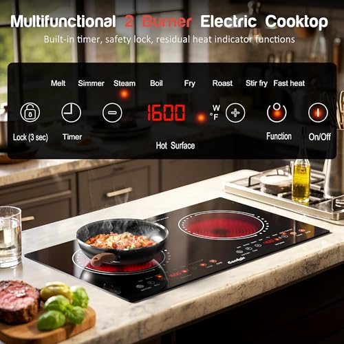 2 Burner Electric Cooktop Review