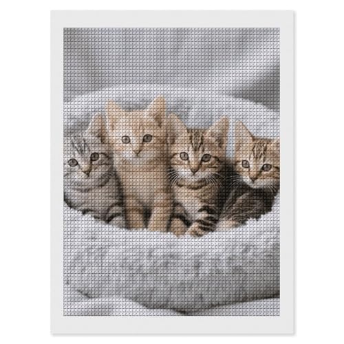 Kit de peinture diamant 5D FodPand carrés 30x40 cm pour adultes