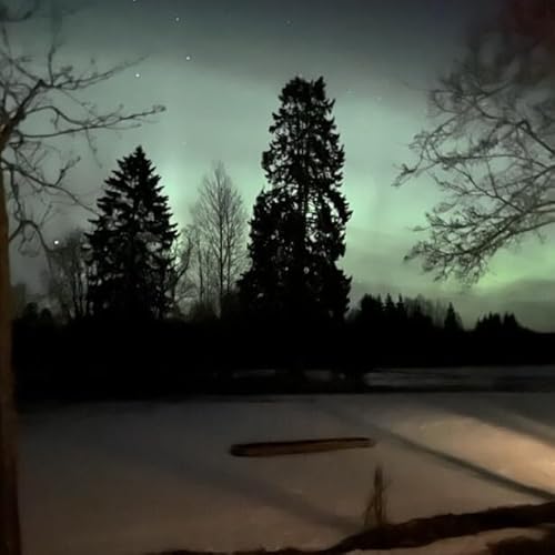 Couverture de V&aring;r f&ouml;rsta