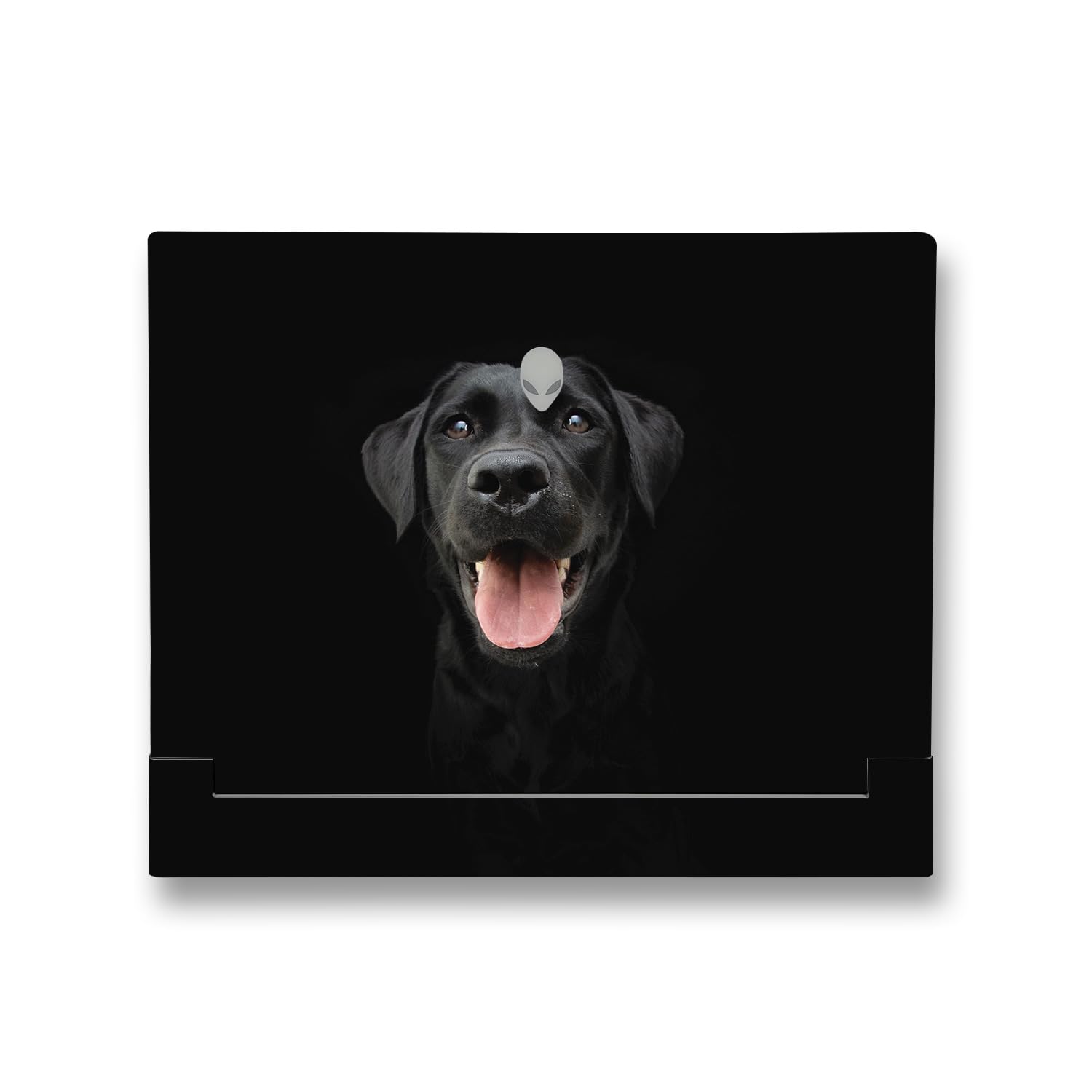 MightySkins Skin Compatible With Alienware X14 R2 (2023) Full Wrap Kit - Black Lab | Protective, Durable, and Unique Vinyl Decal wrap cover | Easy To Apply, Remove, and Change Styles | Made in the USA