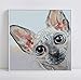 Produktbild Diamant Gestickte Katze Malerei Kristall Diamant Malerei Tier Platz Voller Diamant Strass Diamant Mosaik Sphinx Rahmenlose 16X16 Inch