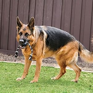 KONG Extreme Ball with Rope – Dog Fetch Toy with Rope for Easy Throwing – Durable Dog Ball Toy for Tug, Playtime & More s Most Durable Natural Rubber – Black – for Large Dogs