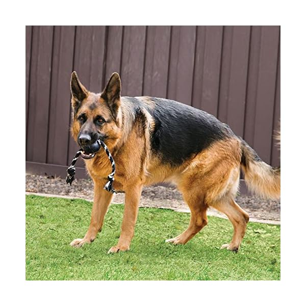 Extreme Ball with Rope Toy