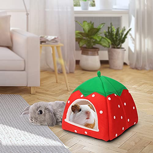Tierecare Esconderijo de porquinho-da-índia, 2 unidades, cama de porquinho-da-índia, acessórios para
