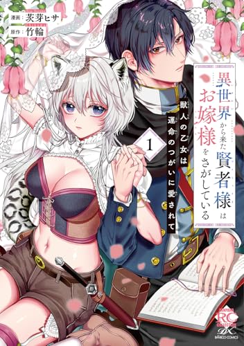 異世界から来た賢者様