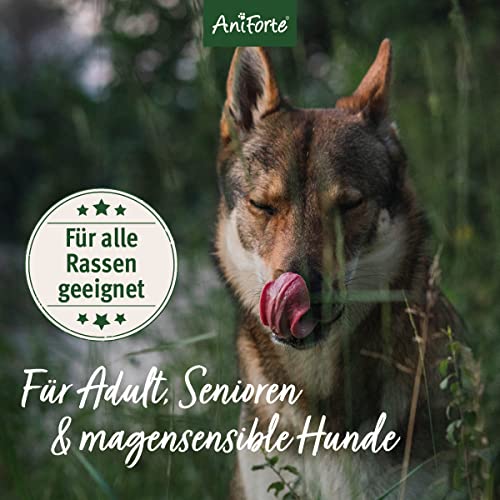 AniForte Lachs Trockenfutter für Hunde 7kg – Frischer Lachs mit Kartoffeln & Vitaminen, Halbfeuchtes Trockenfutter, Hundefutter trocken getreidefrei & glutenfrei für Allergiker