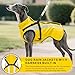 Oslueidy Hund Regenmantel wasserdichte Regenmäntel für Hunde Regenjacken mit Kapuze Haustier Regen Poncho Mantel für kleine mittlere große Hunde Welpen S-XXL (Gelb, M)