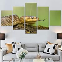 SIGNWIN 5 Panel Canvas Wall Art Modern Art Chic Expressive Frog Multicolor Photography Reptiles Snakes for Home Decorations Ready to Hang - 60