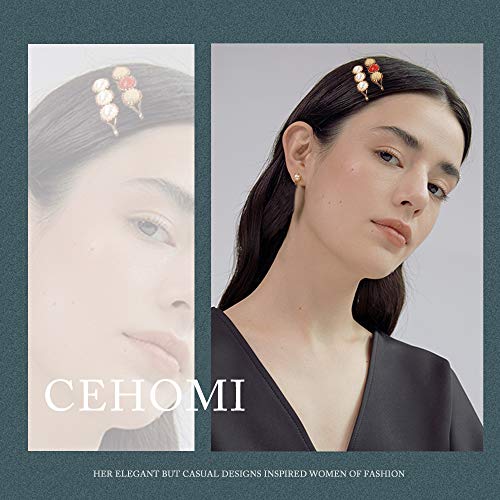 image for Cehomi Woman Hair Clips 28 Pcs, Hair Barrettes Accessories for Girls, 