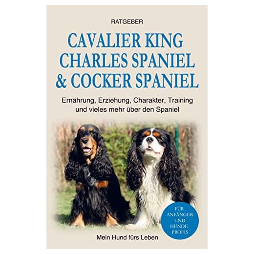 Cocker Spaniel & Cavalier King Charles Spaniel: Erziehung, Training, Ernährung, Charakter und einiges mehr über den Spaniel