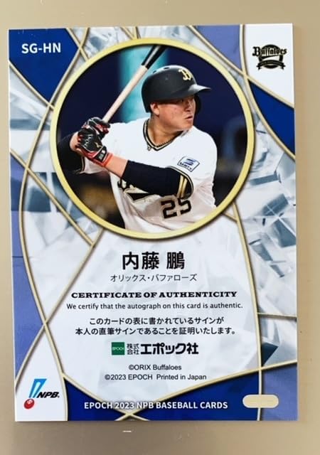 貴重】【当時物】読売巨人軍『王貞治』756号 記念パネル(サイン入り