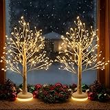 EAMBRITE Birch Tree with LED Lights, Christmas Decorations Indoor Fairy Light Spirit Tree Lamp with Timer&Dimmer, Lighted Twinkling Artificial Trees USB Powered for Centerpiece Table Home Room 2Pack