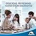 MARRIOTTO LT1000P Refrigerator Water Filter, Compatible with LG LT1000P, LT1000PC, LT-1000PC, MDJ64844601, ADQ74793501, ADQ74793502, Pack of 3