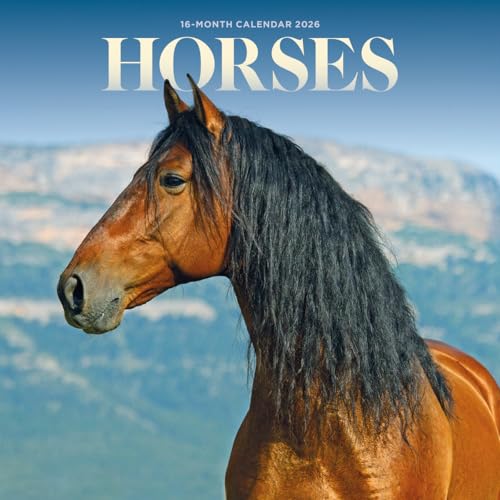 2026 Horses Mini Wall Calendar