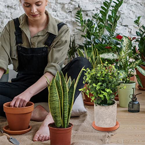 Image of 5 Pack Terracotta Plant Saucer 3 Inch, Small Clay Pot Saucers for Indoor Ourdoor Flower Pots, Round Ceramic Planter Trays for Succulents, Unglazed Drainage Drip Base for Potted Plants